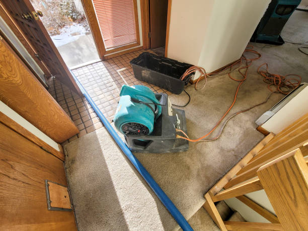 Reliable Laguna Vista, TX Water damage restoration Solutions