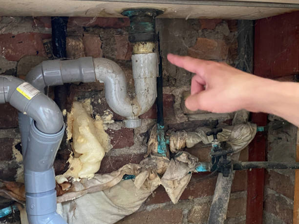 Best Water damage contractors near me  in Laguna Vista, TX