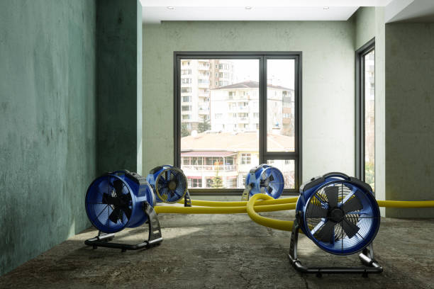 Trusted Laguna Vista, TX Water damage restoration Experts